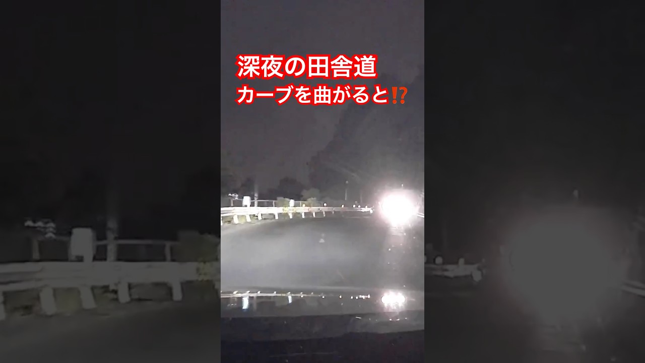 深夜の田舎道　カーブを曲がると⁉️ #ドラレコ #automobile #事故