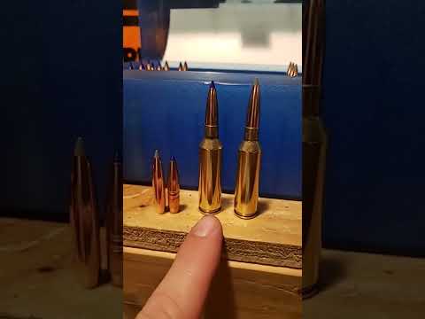 Nosler Rifles: Everything You Need to Know