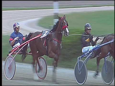 Trotto 14/10/2016 - 2ª corsa