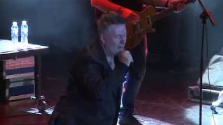 Miguel Mateos - Va por vos, para vos - Fiesta de la Avicultura 2019