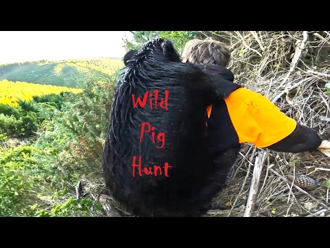 Teaching Young Men to Hunt with Dog & Knife