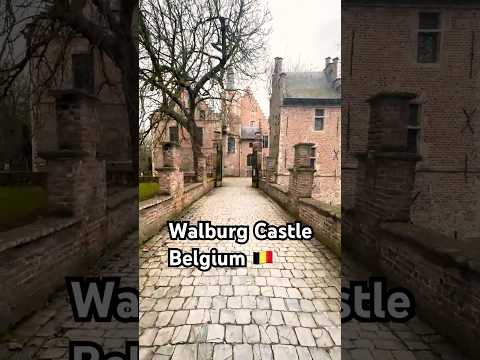 Walburg Castle (Kasteel Walburg), located in the Romain De Vidts Park#europe#belgium