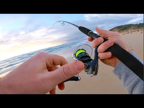Tips on Beach Fishing With Lures… turned in to chaos