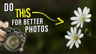 Isolation & Selective Focus - Key techniques to make BETTER photographs
