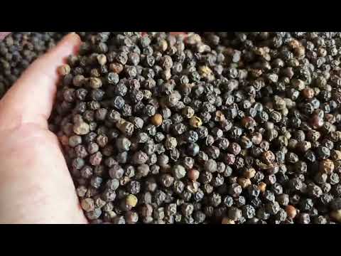 Best price vietnam 500 faq black pepper, packaging size: 25 ...