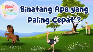 Download lagu I Want to Know - What Is the Fastest Land Animal? mp3 Download lagu I Want to Know - What Is the Fastest Land Animal? mp3
