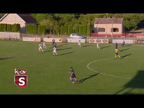 Sremska liga fudbal