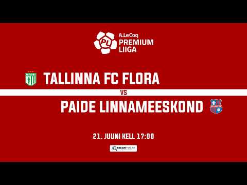 bg-highlight