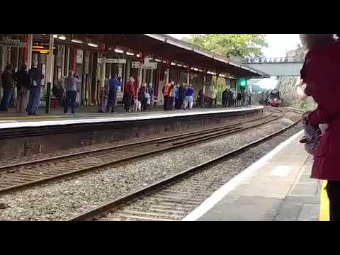 Flying Scotsman Teignmouth for Alice