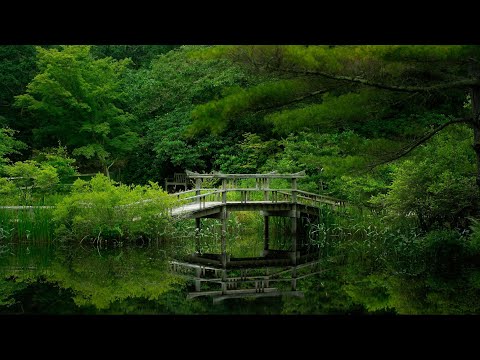 Meditasyon Müziği -  Çeng  (Pentatonik)