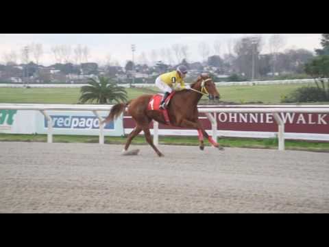 09/07/2016 – Hipodromo Maroñas – Carr 2 – POTRI FLASH (2007)