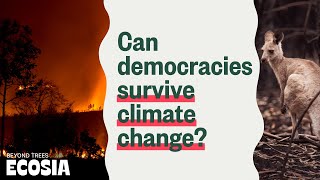 Sous-titrage vidéo en ligne