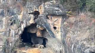 preview picture of video 'Z990 30x Zoom Test 2 - Cave Faustina - Matozinhos - MG - Brazil'
