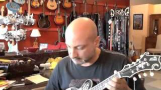 Video thumbnail for The Loar 600 by Penny Lane Music Emporium