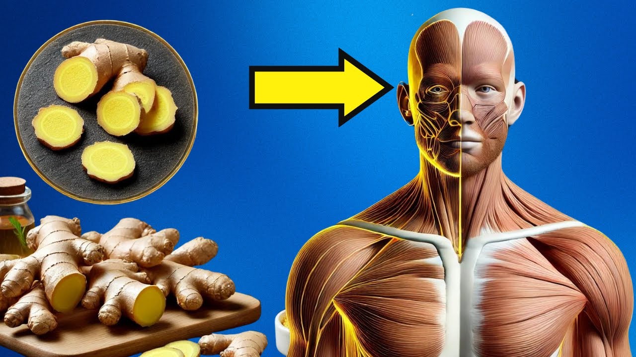 O Que Acontece com Seu Corpo Quando Você Come Gengibre Todos os Dias
