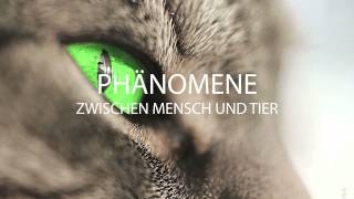 preview picture of video 'Buch: Phänomene zwischen Mensch und Tier'