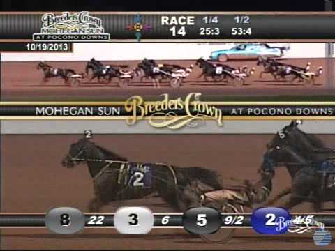 Foiled Again - 2013 Breeders Crown Final - Open Horse Pace
