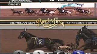 Foiled Again - 2013 Breeders Crown Final - Open Horse Pace