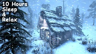 SEVERE ILLINOIS WINTER with DEADLY SNOWSTORM for sleeping. BRUTAL BLIZZARD AMBIENCE #asmr