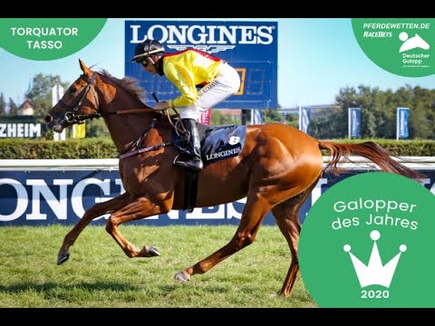 Torquator Tasso – Kandidat zum „Galopper des Jahres 2020“