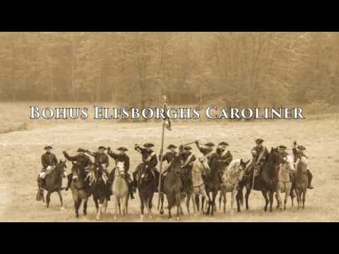 Bohus Elfsborgh Caroliner PM