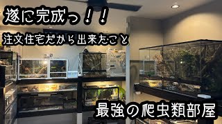 【ルームツアー】最強の爬虫類部屋紹介