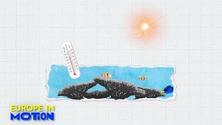 Sind sie zu warm? Europas Meere brechen Temperaturrekorde