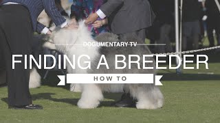 THE BEST WAY TO FIND A GOOD BREEDER