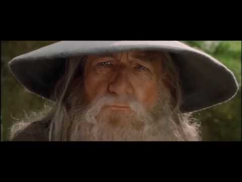 Le Seigneur des Anneaux: La Communauté de l'Anneau - LA COMTÉ