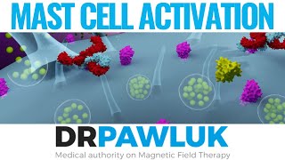 FAQ - How can PEMF be used for mast cell activation?
