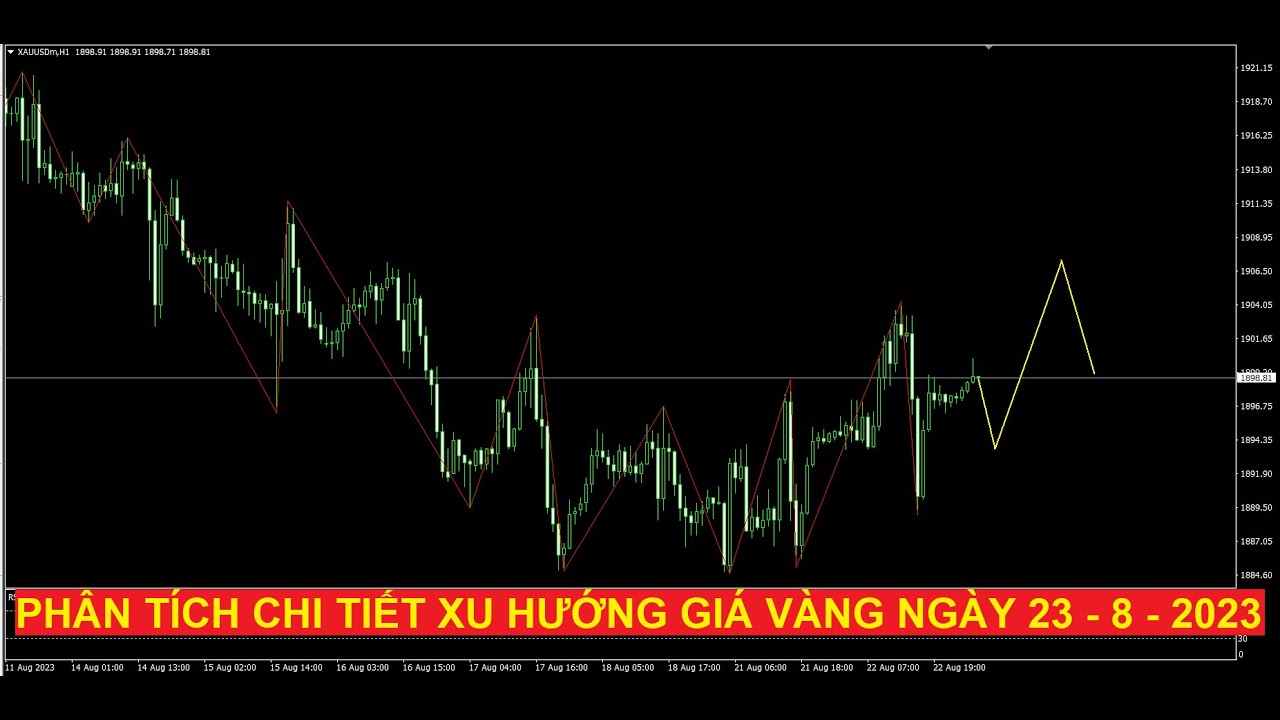 Video phân tích chi tiết giá vàng ngày 23 - 8 - 2023