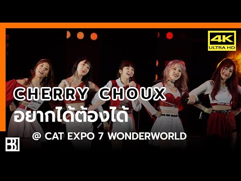 201122 Cherry Choux - อยากได้ต้องได้ (Minekuk Focus) @ CAT EXPO 7 [Fancam 4k60p]