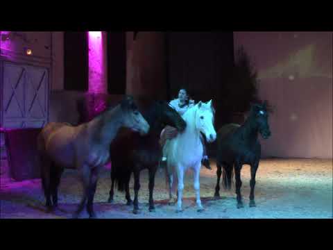 Gilliane Senn  Spectacle équestre