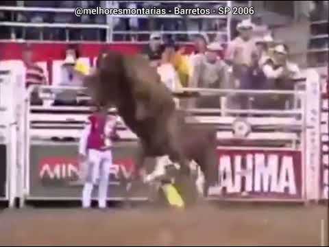 🇧🇷 Potra Malícia - Máquina de Pulos #rodeio #cutiano