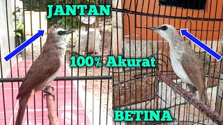 Download lagu Cara Membedakan Trucukan Jantan dan Betina Akurat mp3