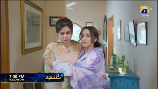 Shikanja Episode 38 Promo | Tomorrow at 7:00 PM only on Har Pal Geo