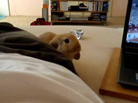 Pan Palačinka rošťák :-D