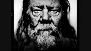 Roland van Campenhout - The Spider and the Fly