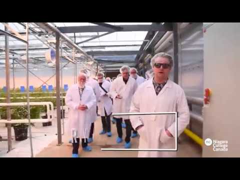 CANOPY GROWTH CORPORATION AND NIAGARA COLLEGE PARTNER TO EXPAND CANADA’S CANNABIS INDUSTRY