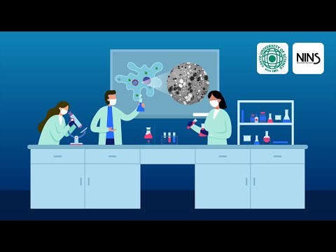 The Unique Morphology of the Medusavirus and How They Mature