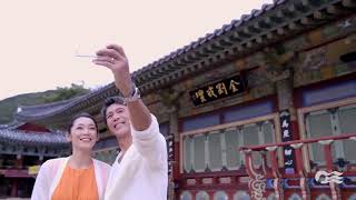 Diamond Princess Cruise with Holiday Tours