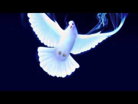 La necesidad de un avivamiento. Hechos 4:31 - Evangelista Jorge Romero