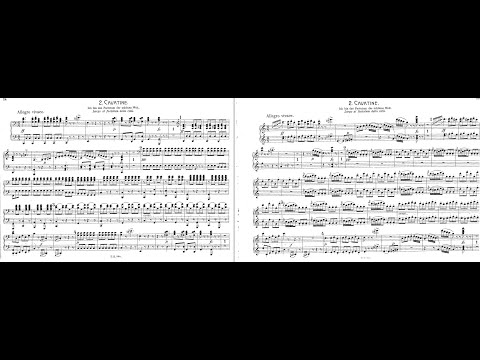 Rossini-Schoenberg - Il barbiere di Siviglia ("Largo al factotum") - Duo Solot Piano