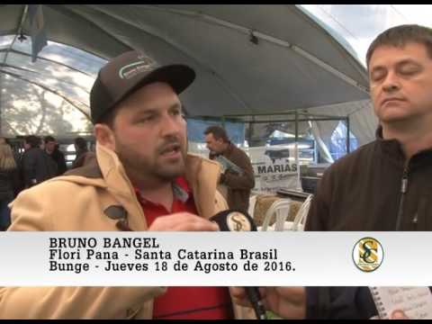 18-08-16 Nota Bruno Bangel - Cabaña Tres Marias - Bunge.