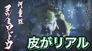 【MHR】ヨツミワドウ初見チャレンジ！ガンランスで挑むぞ…間違えて氷属性で来てしまった！
