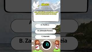 quiz bíblico