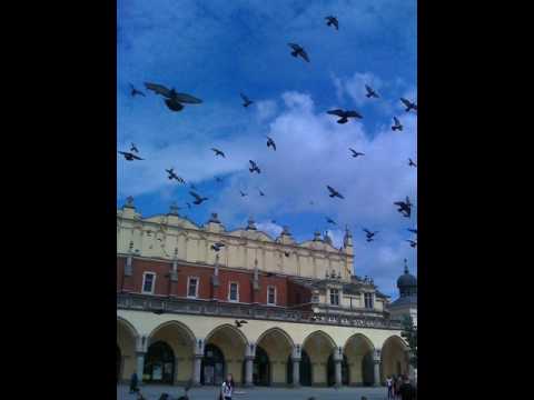 zapominam - Tamara Kalinowska