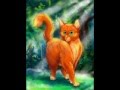 Коты воители Огнегрив (Рыжик). история Огнегрива mp4 