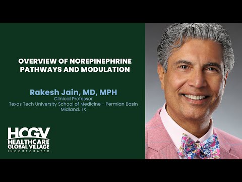 Overview of Norepinephrine Pathways and Modulation