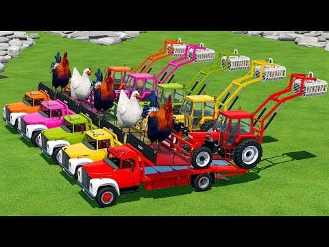 LOAD & TRANSPORT GIANT CHICKENS AND SUGAR BEET WITH FIAT TRACTORS - Farming Simulator 22